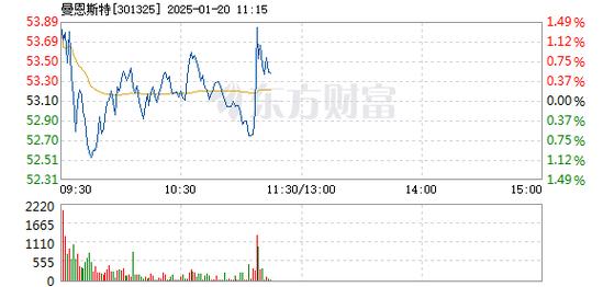 顶固集创1月20日快速反弹