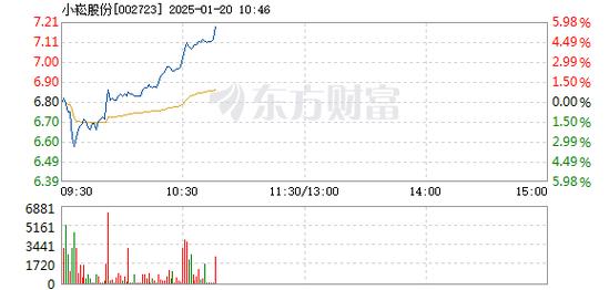 小崧股份1月20日快速上涨_1