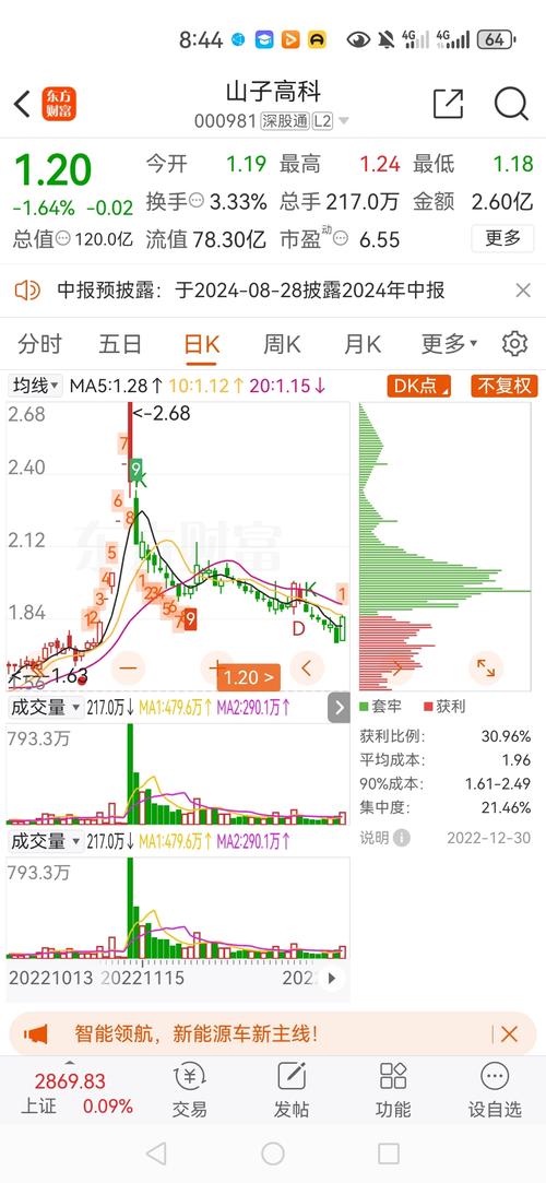 山子高科1月20日快速回调