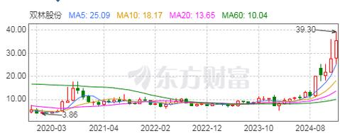 业绩暴增、股价暴涨，双林股份怎么就活成了A股最想要的样子？