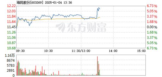 金鸿顺1月20日盘中涨幅达5%