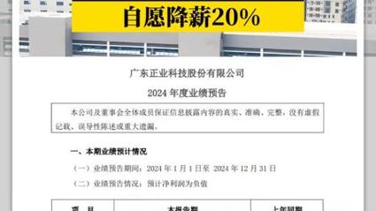 正业科技：2024年预亏1.9亿元~2.35亿元