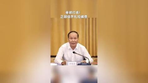 重磅！正省部级“老虎”被查